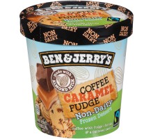 Ben & Jerry's Coffee Caramel Fudge Non-Dairy Frozen Dessert 16 Fl Oz Tub
