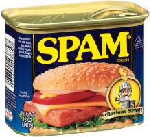 Spam Classic Canned Meat 12 Oz Can