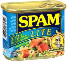 Spam Lite Canned Meat 12 Oz Can