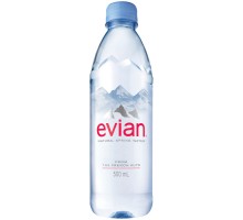 Evian Natural Spring Water 16.9 Fl Oz Bottle