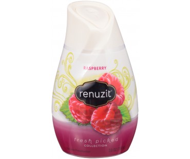 Renuzit Raspberry Gel Air Freshener 7 Oz Plastic Container