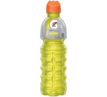 Gatorade Lemon Lime Sports Drink 24 Fl Oz Plastic Bottle