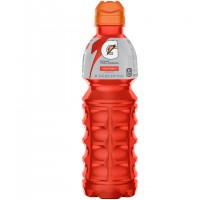 Gatorade Fruit Punch Thirst Quencher Sports Drink 24 Fl Oz Plastic Bottle