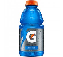 Gatorade Cool Blue Thirst Quencher Sports Drink 32 Fl Oz Bottle