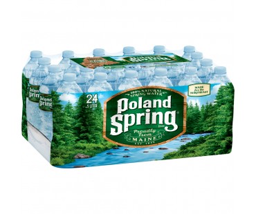 Poland Spring Natural Spring Water 16.9 Fl Oz Plastic Bottle 24 Pack