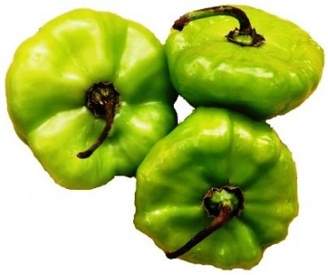 Ajicito Pepper per Pound