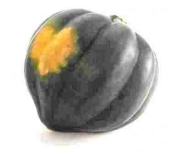 Acorn Squash per Pound