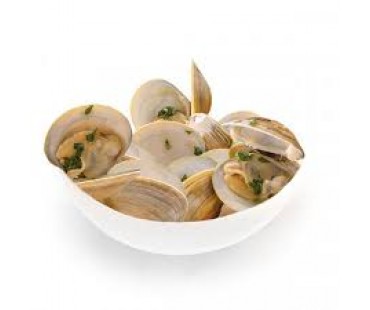 Little Neck per Dozen