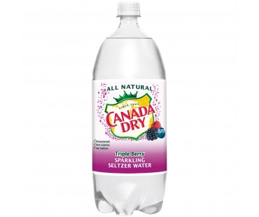 Canada Dry Sparkling Water 2 Liter Bottle